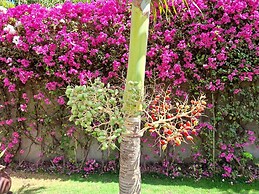 Hôtel La Belle Etoile & SPA