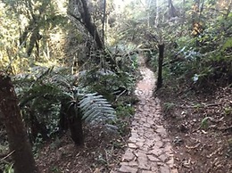 Hotel Boutique Quebra-Noz Conforto e Natureza