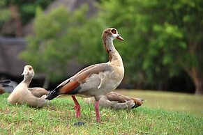 Kruger Park Lodge Unit 543