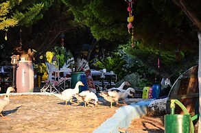 Kaymak Tepesi Tatil Evi