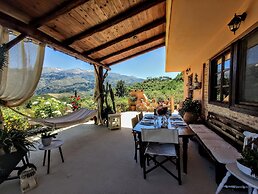 Thymes traditional house