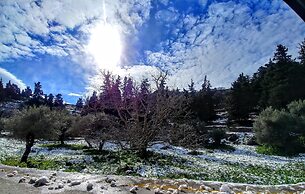 Thymes traditional house