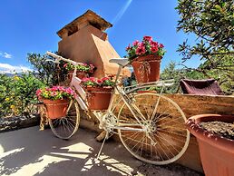 Thymes traditional house