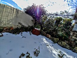 Thymes traditional house