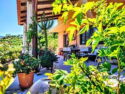 Thymes traditional house