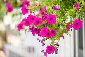 Apartments Beba - Peaceful Location