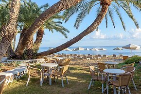Zeus Hotels Palm Beach