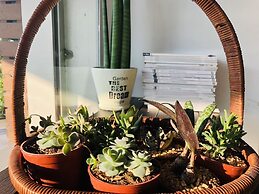 Best Bed Suvarnabhumi - Hostel