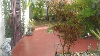La Vie Est Belle Trinidad