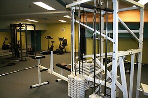 Sydney Inner City Sanctuary