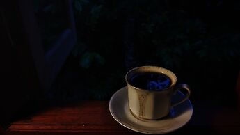 Mama Tia Family Homestay