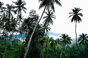 The Flame Tree Estate & Hotel