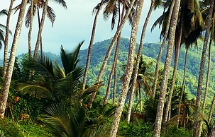 The Flame Tree Estate & Hotel