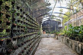 The Flame Tree Estate & Hotel
