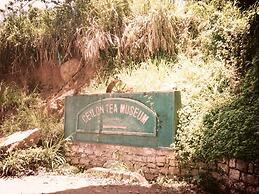 The Flame Tree Estate & Hotel