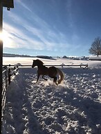 Landhotel Haflingerhof