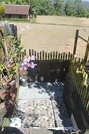 Mandhasativa Homestay