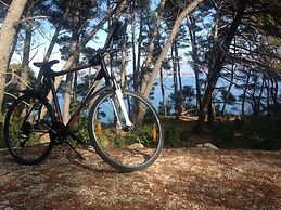 Holiday Villa Blue Tree