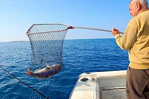 Holiday Villa Blue Tree