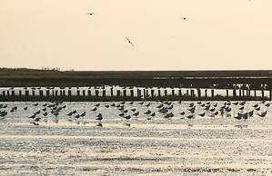 Nordsee-Hotel Hinrichsen