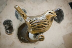 Hotel Playa Manglares Isla Barú