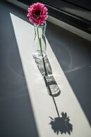 Urban Nest - Suites & Apartments