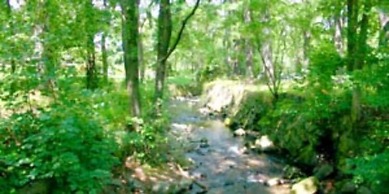 FerienVilla Ambiente