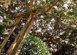 Talalla Freedom Resort