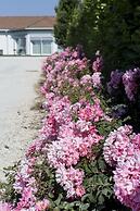 Country House Campofiore