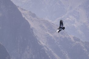 La Granja del Colca