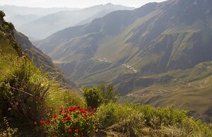 La Granja del Colca