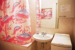 Apartment Svobody 10