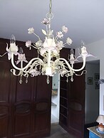 Suites em Meio a Mata Atlantica