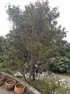 Suites em Meio a Mata Atlantica