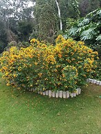 Suites em Meio a Mata Atlantica