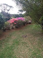 Suites em Meio a Mata Atlantica