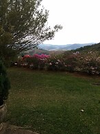 Suites em Meio a Mata Atlantica