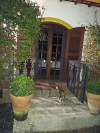 Suites em Meio a Mata Atlantica