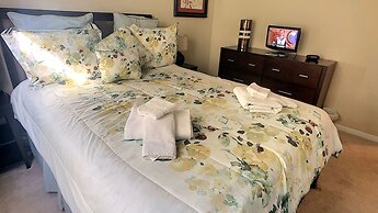 Paradise Palms 8965 Candy