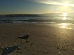 Fort Myers Beach Area 2680