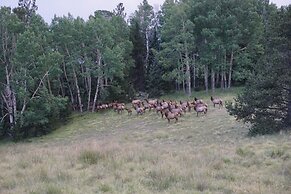 Eagle Nest Fly Shack and Lodge