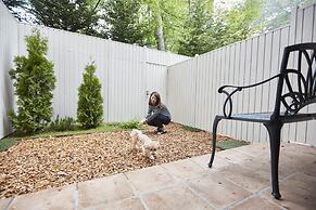 Le Chien Kyuu Karuizawa