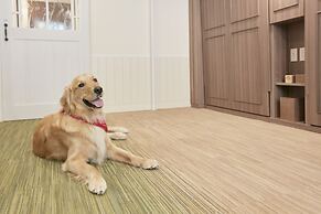 Le Chien Kyuu Karuizawa