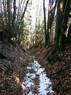Ski-Lake Cottage Nízke Tatry