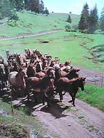 Ski-Lake Cottage Nízke Tatry