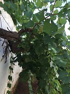 Sea view cottage on sea coast