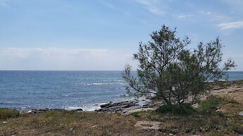 Sea view cottage on sea coast