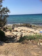 Sea view cottage on sea coast