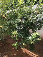 Sea view cottage on sea coast