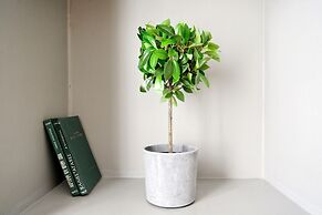 Acropolis Plus Penthouse